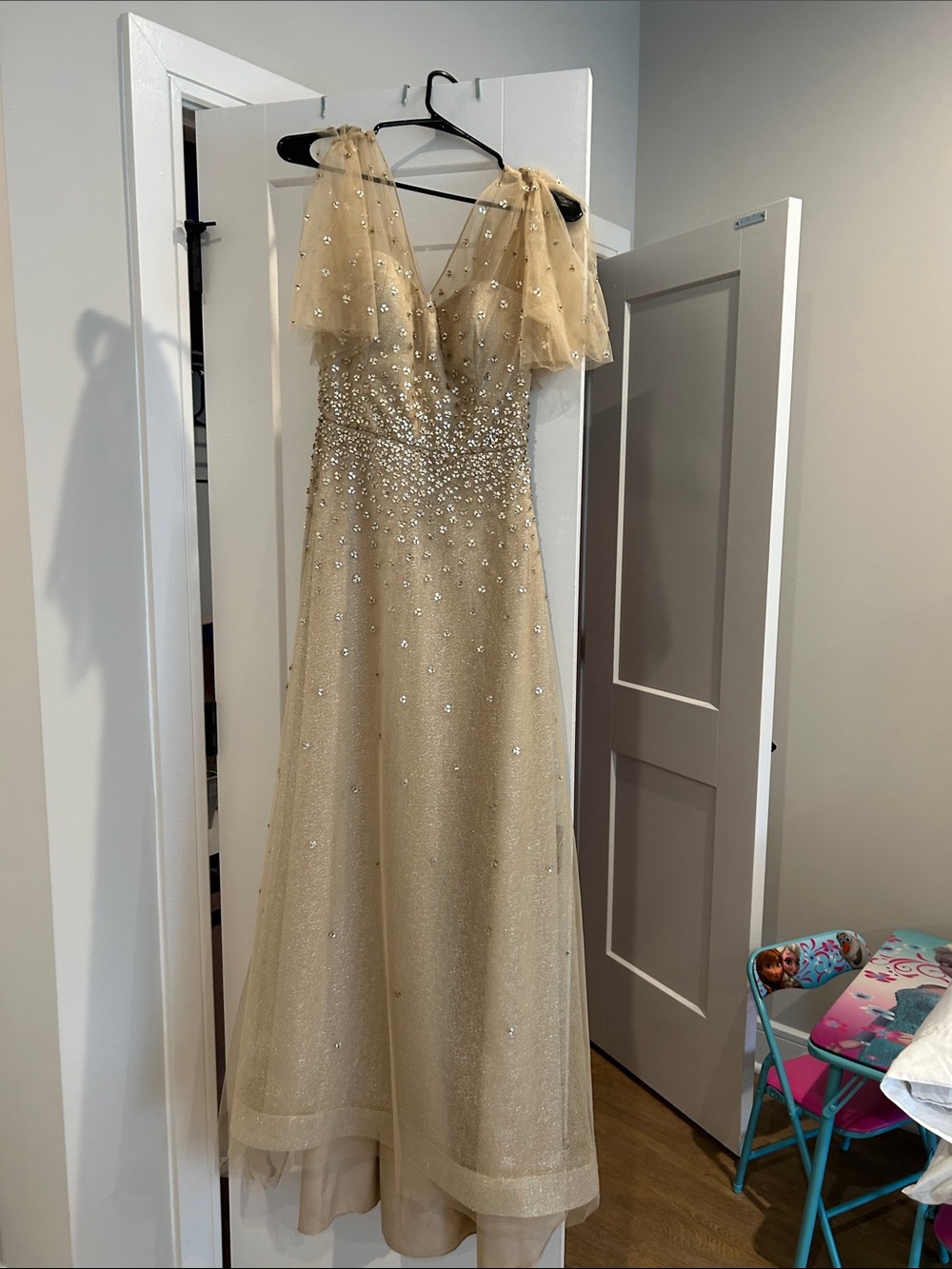Teri Jon Champagne Gold Beaded A-Line Gown with Sheer Puff Sleeves